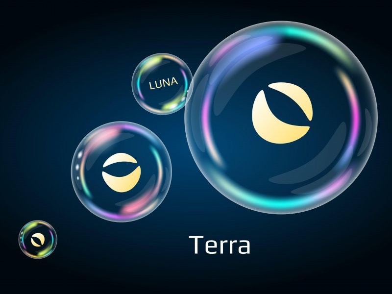 Urgent: Terra Community Must File Crypto Loss Claims For Voting Rights Now