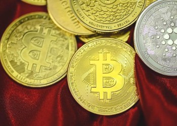 Bolivia Reverses Ban on Bitcoin as Wholecoiner Wallet Address Reach the 1 Million Mark
