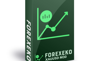Data-Driven Decisions: How Avenix Fzco Optimized Forexeko for Peak Performance