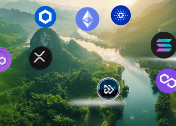 Memecoin Trend Fizzles Out, Investors Selling SHIB and BONK to Buy This AI Token Instead