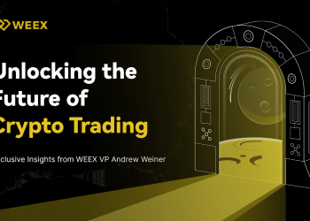 Charting the Path Forward:  Exclusive Insights From WEEX English Market VP Andrew Weiner