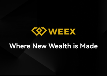 Weex Exchange: A Legit Platform? Detailed Review of Its Features and Security