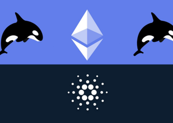 Ethereum (ETH) and Cardano (ADA) Whales Bet Big on This Ethereum Token  for 1221% Growth