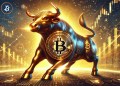 Bitcoin bull run