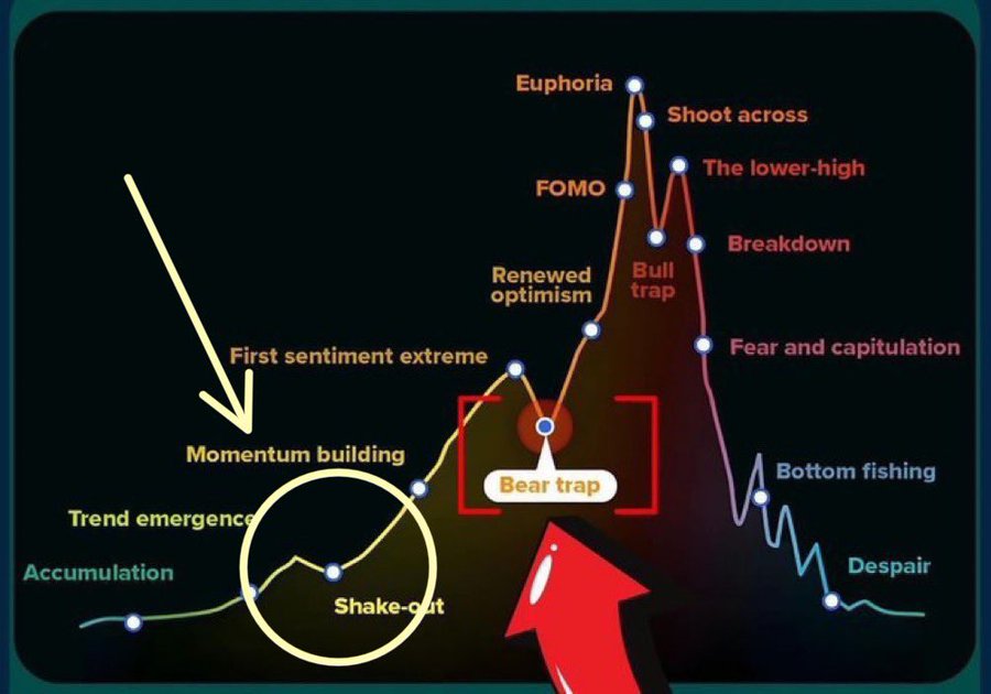 Bitcoin visual data 7