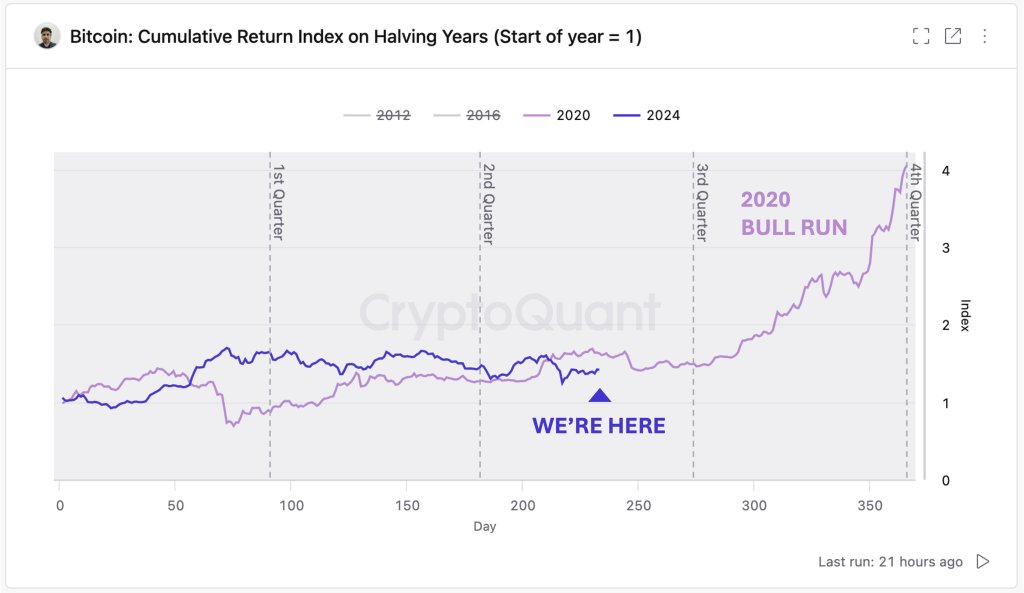 CEO'dan Bitcoin Sahiplerine: BTC Fiyatlarının Yükselişi için 2024'ün 4. çeyreğine kadar bekleyin