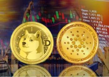 Smart Crypto Whale Buys Shocking Amount of Dogecoin and Cardano After Crash, Set Eyes for this $0.0344 Ethereum Token