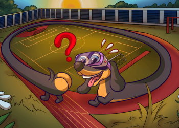 Analyst Michaël van de Poppe Predicts ‘Massive’ Crypto Breakout: Altcoins Ready for Next Big Rally