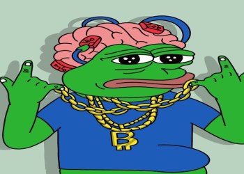 Crypto Rally Slows Down – Focus Turns To Meme Coin ICOs