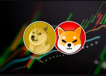 4 Reasons Why Dogecoin Influencers Are Shilling This Shiba Inu Competitor Priced At $0.01831