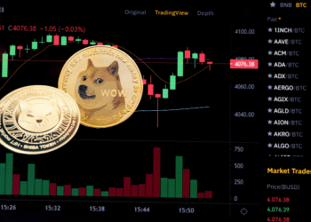 Top Dogecoin Trader that Bought Shiba Inu (SHIB) Early Bets Big on this $0.03 Ethereum Token as 1,366% Rally Looms