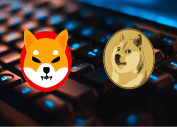 Ripple (XRP) And ETFSwap (ETFS) Race To $1 As Dogecoin Lags Behind
