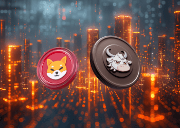 Discover the Next Shiba Inu: Crypto Analyst Reveals New Coin Set to Surpass SHIB in Q4 2024