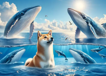 Dogecoin And Shiba Inu Whales Flock To New Affordable Cryptocurrency Set To Skyrocket 1,512%