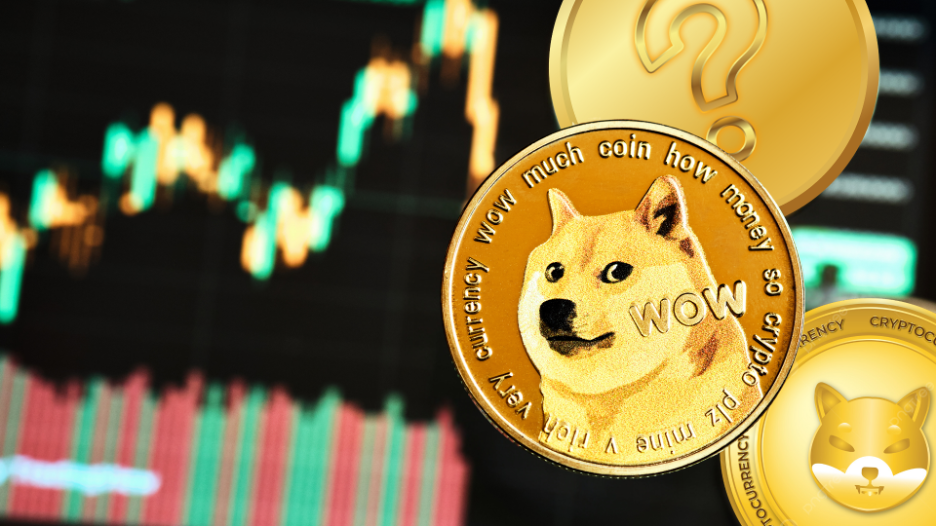 Dogecoin (DOGE) Millionaire Shows 3 Shiba Inu (SHIB) Killers To Become ...