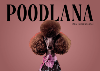 Poodlana Gears Up for the Biggest Solana Listing of the Year