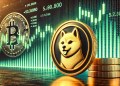 Shiba Inu