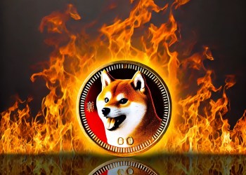 Shiba Inu burn