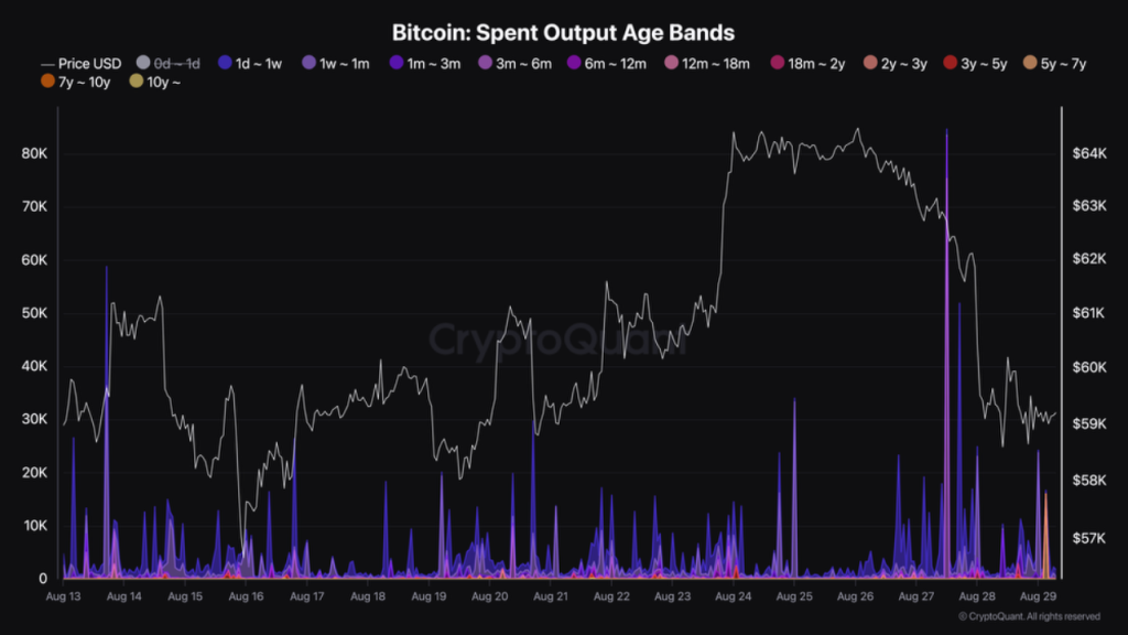 Bitcoin Aktif Hızlı Düşüşü Ele Alıyor: Spot ETF'leri Suçluyor mu?