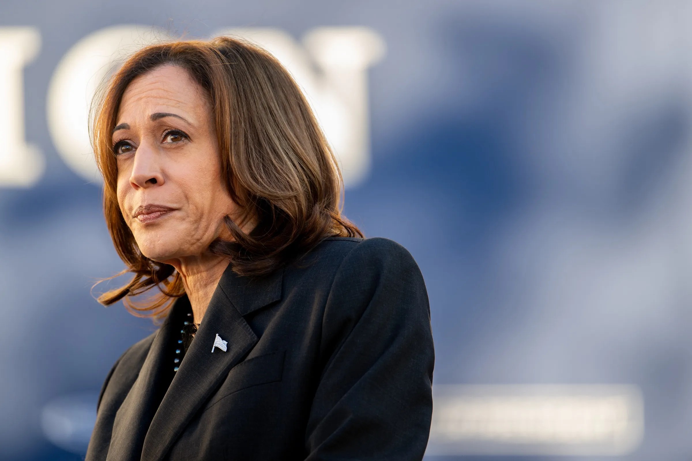 Kamala Harris May Flip To Pro-Crypto Stance, Ex-Presidential Nominee Says