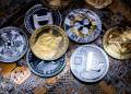 Altcoins