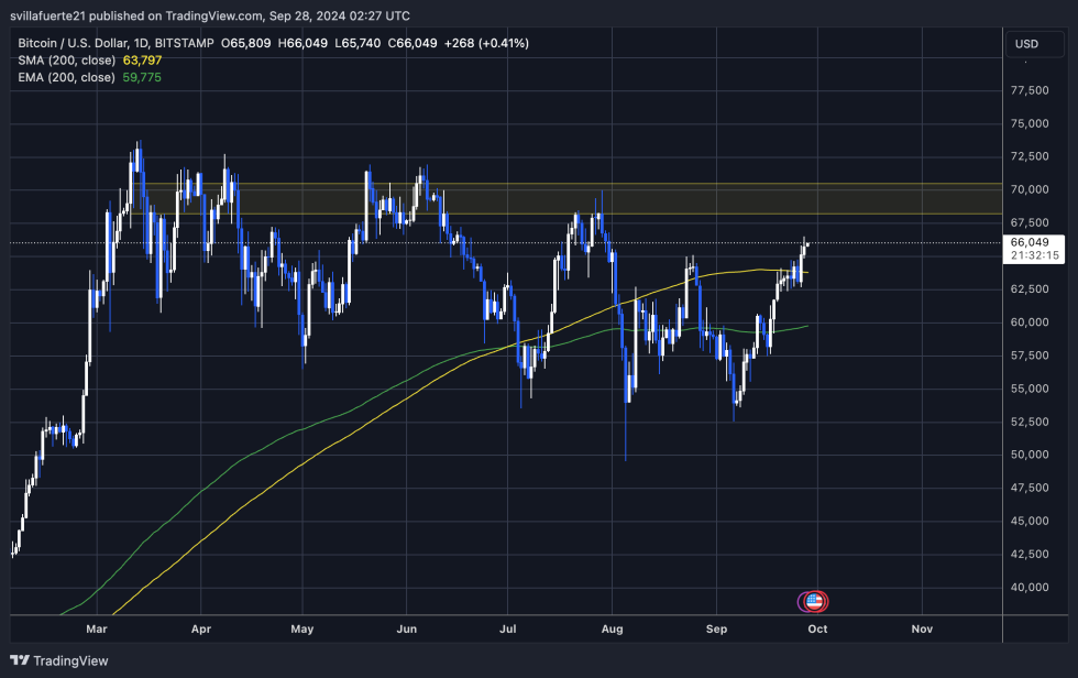 BTC trading above the 1D 200 MA. | Source: BTCUSDT chart on TradingView