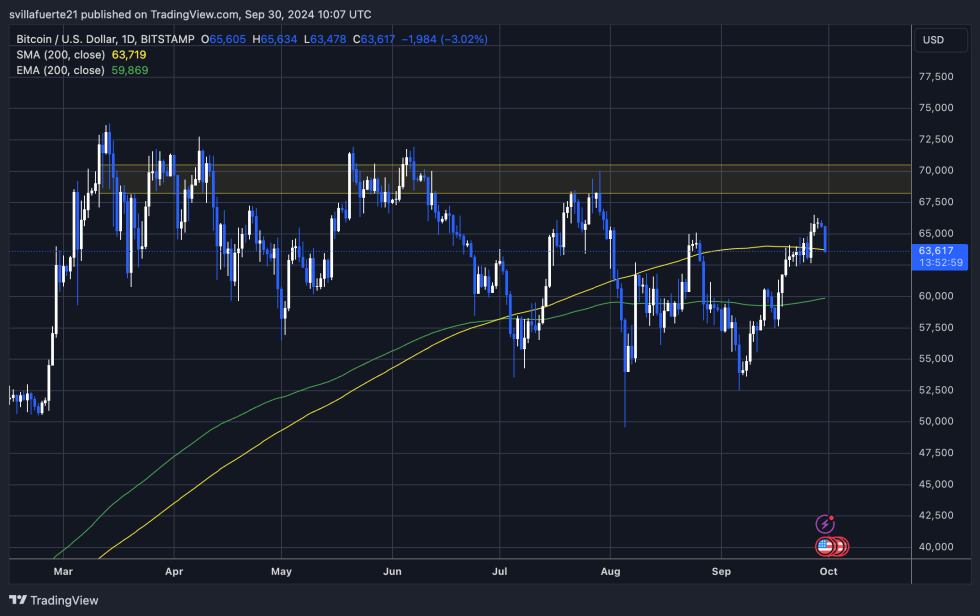 Bitcoin STHs Supply Decreases By 1.31M BTC – A Sign Of Growing Confidence?