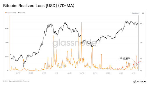 Diese Gruppe von Bitcoin-Inhabern hat am meisten unter dem Preisverfall gelitten