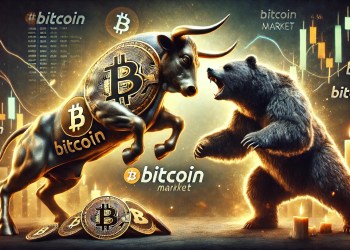 Bitcoin bull bear