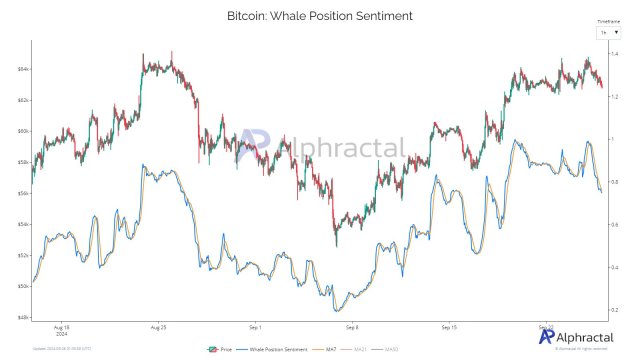 Bitcoin Whales Resume Shorting Positions Amid Rising Positive Market