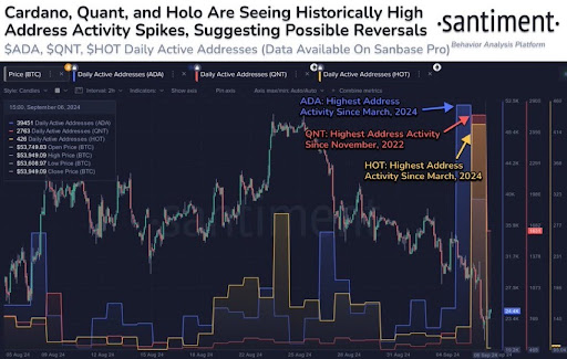 Cardano 創設者が ADA 指標がグリーンになる中、プロジェクトの方向性を明らかに