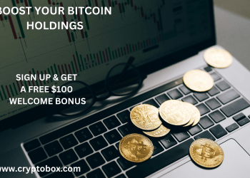 How CryptoBox Works for Beginners to Earn Confidently