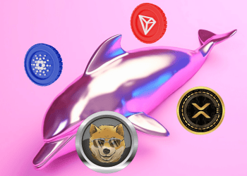 October 2024 Best Buys? Why Whales Allocate Their Holdings to TRX, ADA, XRP, DOGEN