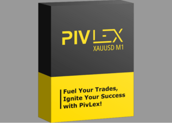 Adapting to Market Trends: How Avenix Fzco’s Pivlex Operates
