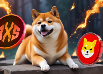 Shiba Inu Price Prediction: SHIB Token Burn Rate Soars 242%—Rally to $0.0001 Incoming? Why Rexas Finance (RXS) is a Better Investment
