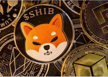 Shiba Inu Investors Pull 770 Billion SHIB From Exchanges, Here’s What They Are Buying