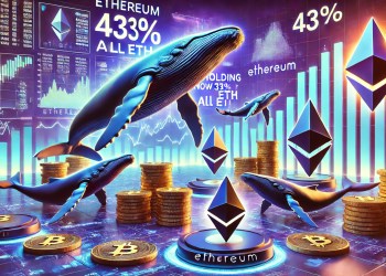Ethereum Whale