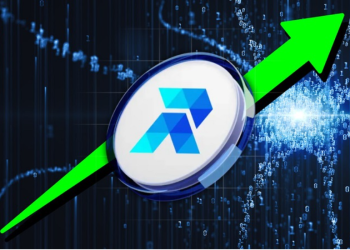 $500 in Shiba Inu or PEPE vs. $500 in RCO Finance, Which One is More Likely to Get You $100K?