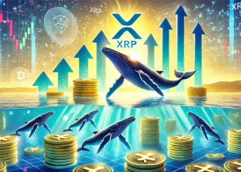 XRP Whales