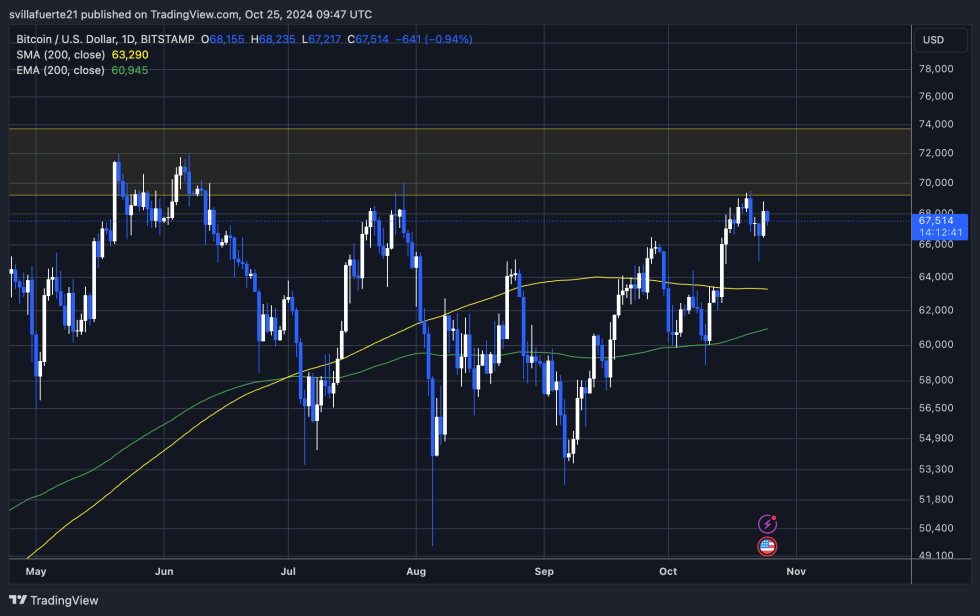 Cá voi Bitcoin đang phát triển khi hoạt động bán lẻ thu hẹp lại – Dấu hiệu của sức mạnh?