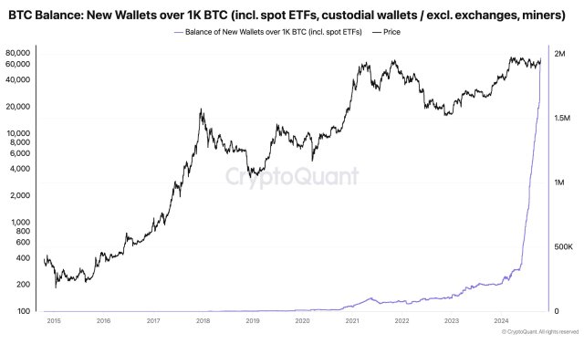 New Bitcoin Whale Wallets Balance See Rapid Growth Amid Rising Market Confidence