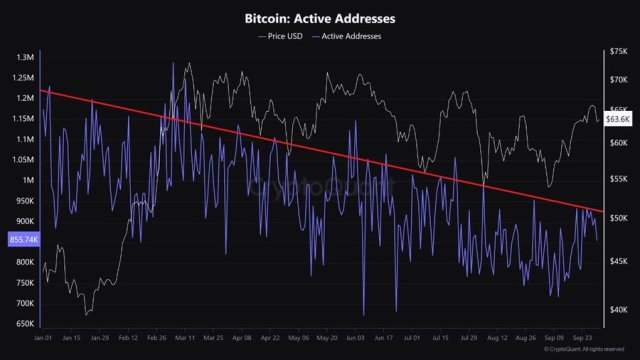 Bitcoin And Ethereum Activity Dips: Active Addresses See Steady Decline