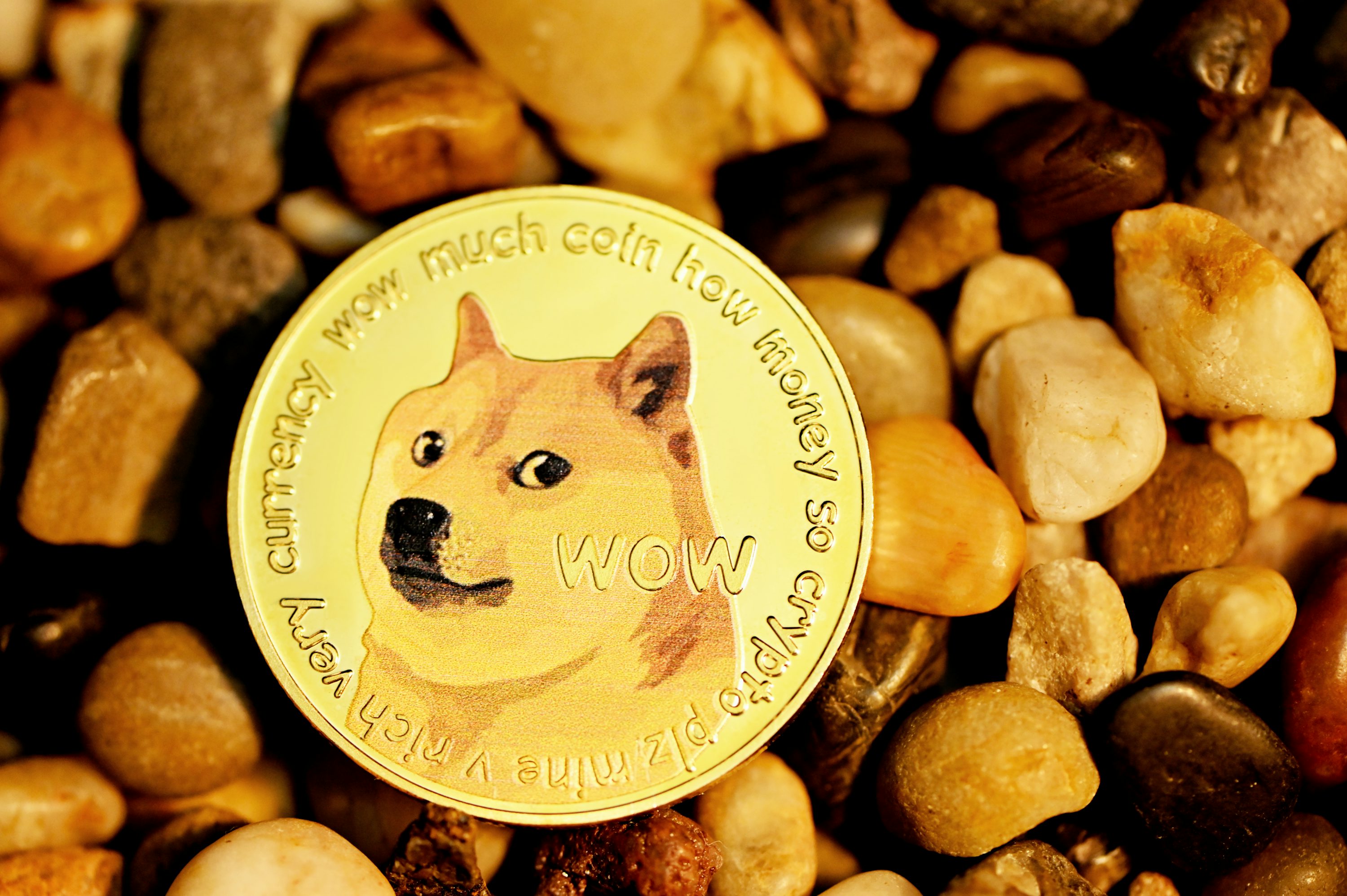 Dogecoin