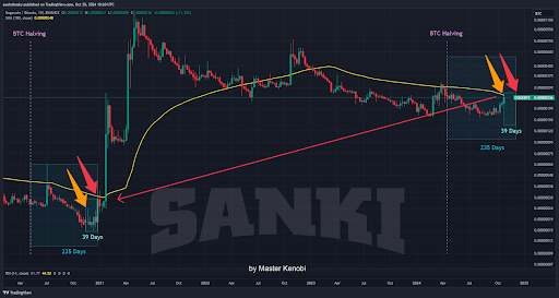 Analyst Who Predicted Start Of Dogecoin Bull Run Reveals What’s Coming Next