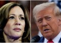 Trump odds Polymarket crypto news