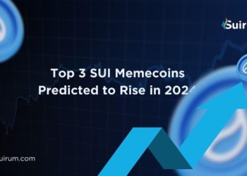 Top 3 SUI Memecoins Predicted to Rise in 2024