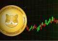 Shiba Inu Analyst Warns of SHIB Price Drop as Shibarium Adoption Collapses, Points to $0.03 Altcoin for 5000x Gains