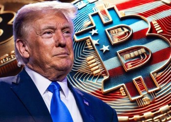 The Trump Effect Sparks Crypto Market Bull Run – Gains Reported Across the Board