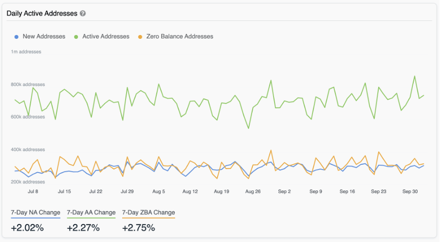 data insight