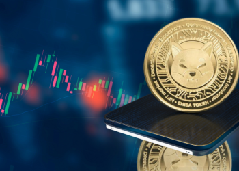 Shiba Inu Rival Flashing Buy Singal that Triggered the SHIB Price 2021 8,000% Bull Run, Analyst Finds